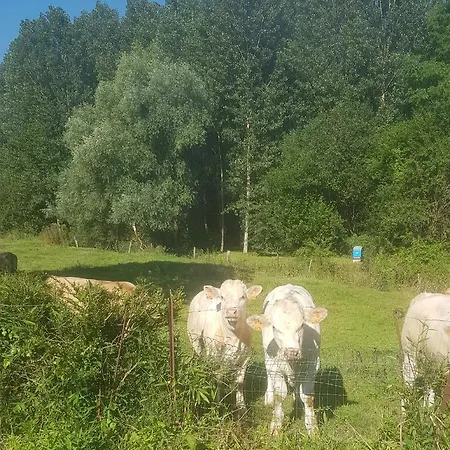 Maison Au Bord De L'ancre Дом отдыха Authuille